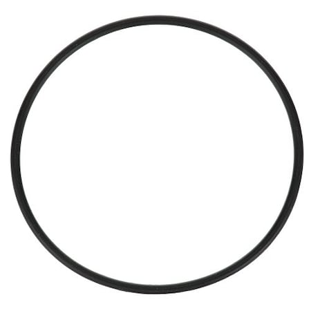 Pentair Everpure O-Ring, 307119 307119